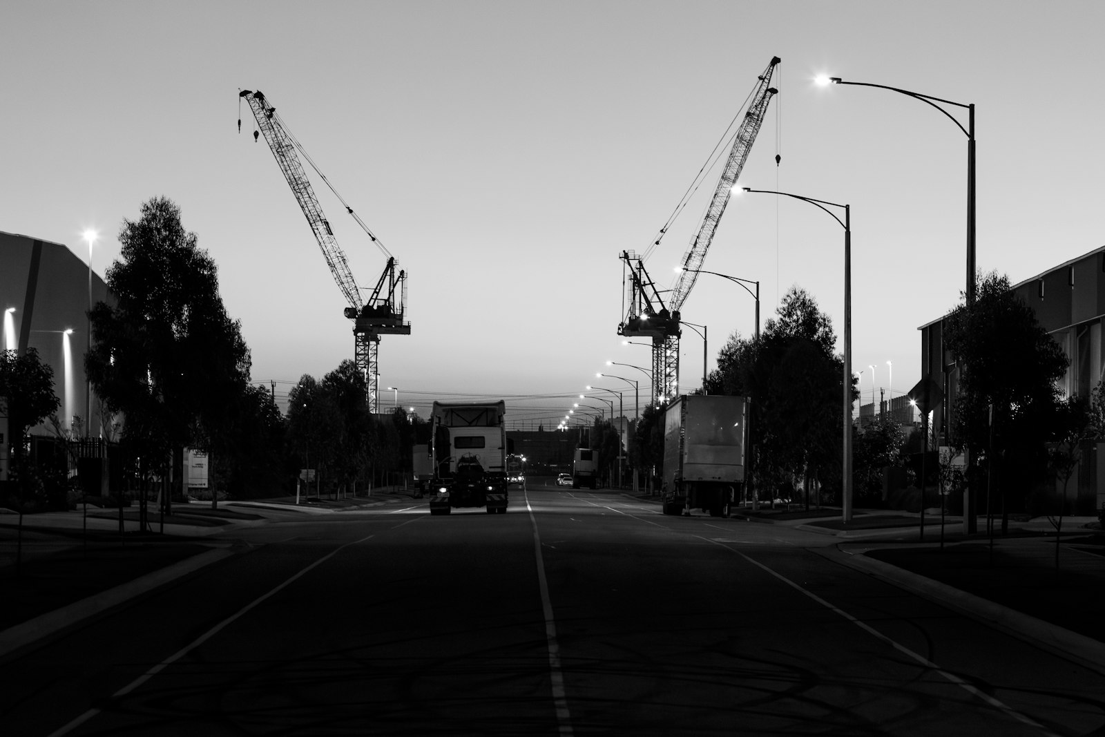 Telescopic Crawler Crane