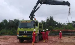 CHAS Activity On Site Matting Board img 20170623 wa0087